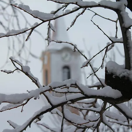 Villa Kemences Szechenyi Vendeghaz *